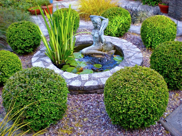 Il mondo in un giardino: Sempreverdi per siepi