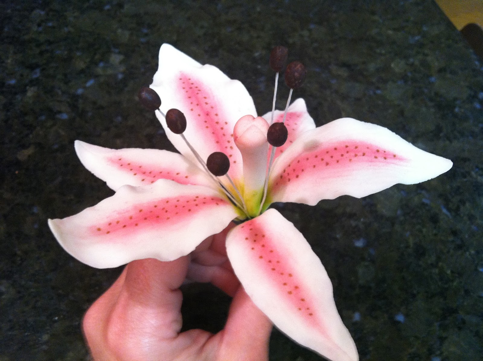 The Iced Queen Stargazer Lily Pistil and Stamens