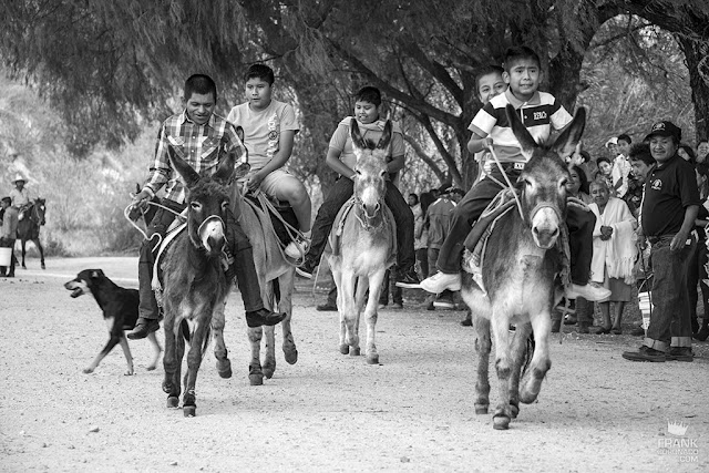 niños montando mulas