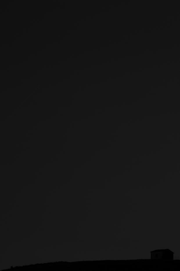 Schwarze Bluten 2013