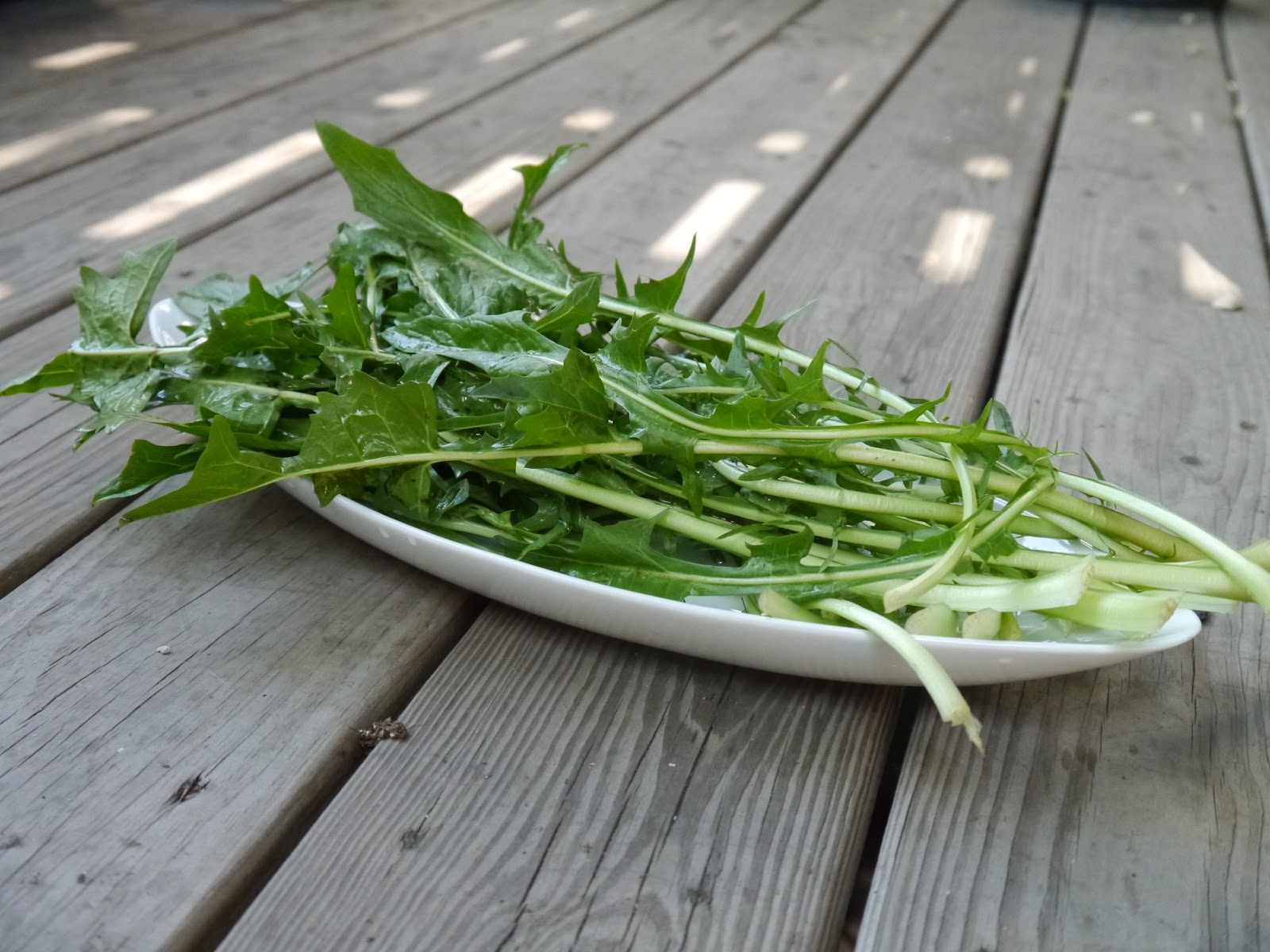 A Girl & Her Food Juice Dandelion