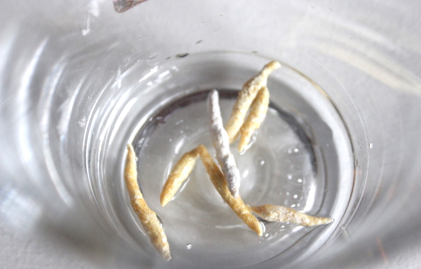 Kinkx Halloween special, how to make fake maggots