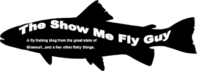 The Show Me Fly Guy