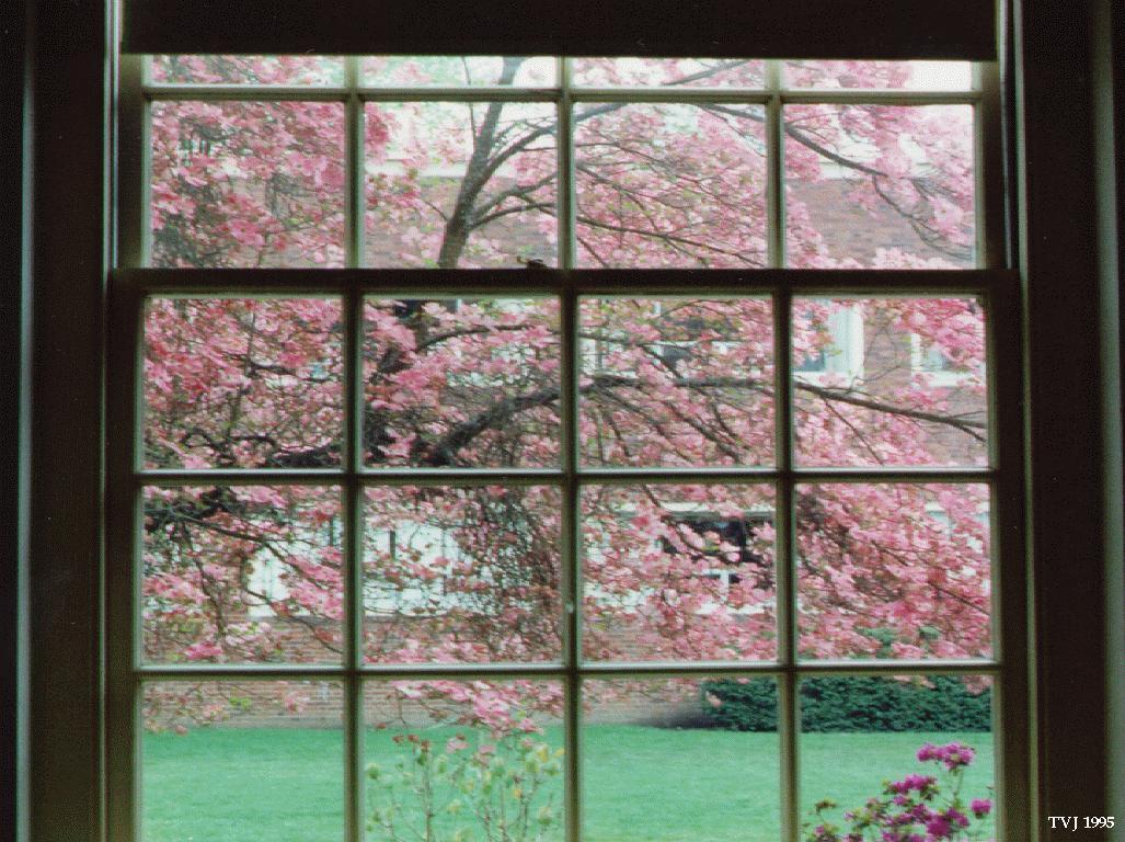 Window milwaukee replacement windows stephen clark: The window of opportunity