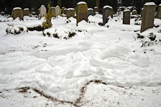 Die Kunst Des Scheiterns