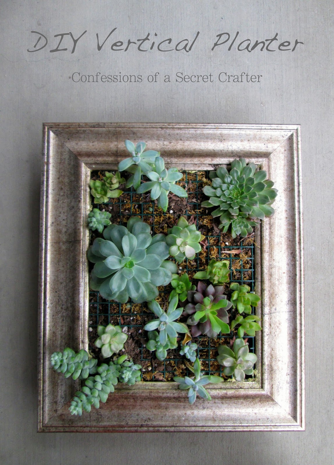 Vertical Succulent Planter Confessions of a Secret Crafter