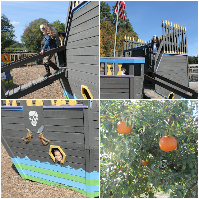 Smolak Farms North Andover Apple Picking