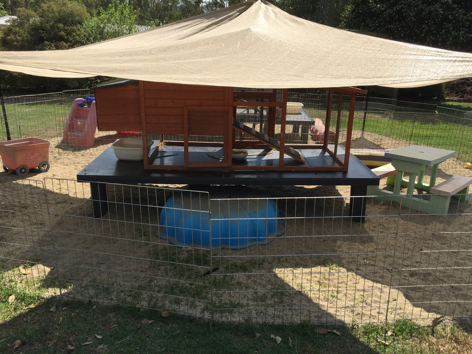 DIG PROOF RABBIT DAY PEN AND HUTCH WITH OPEN DOOR Rabbit Rescue Sanctuary