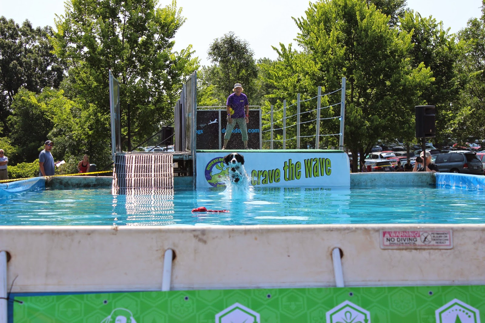 Know Thy Dog Grass Creek Park Kingston SHEEP TRIALS AND MORE