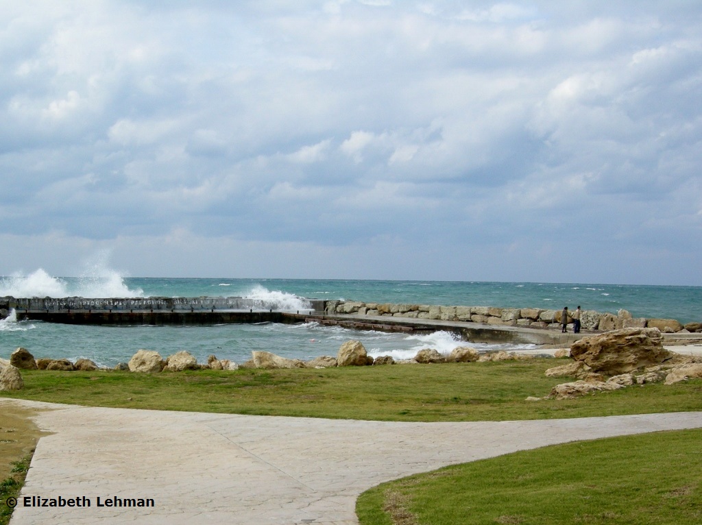 Exploring Cyprus Paphos The City