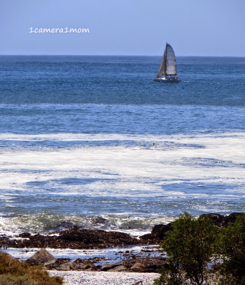 1camera1mom Britannia Bay, South Africa Part 4