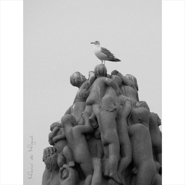 Gaviota en lo alto del monolito del Parque de Vigeland Gaviota en lo alto del monolito del Parque de Vigeland