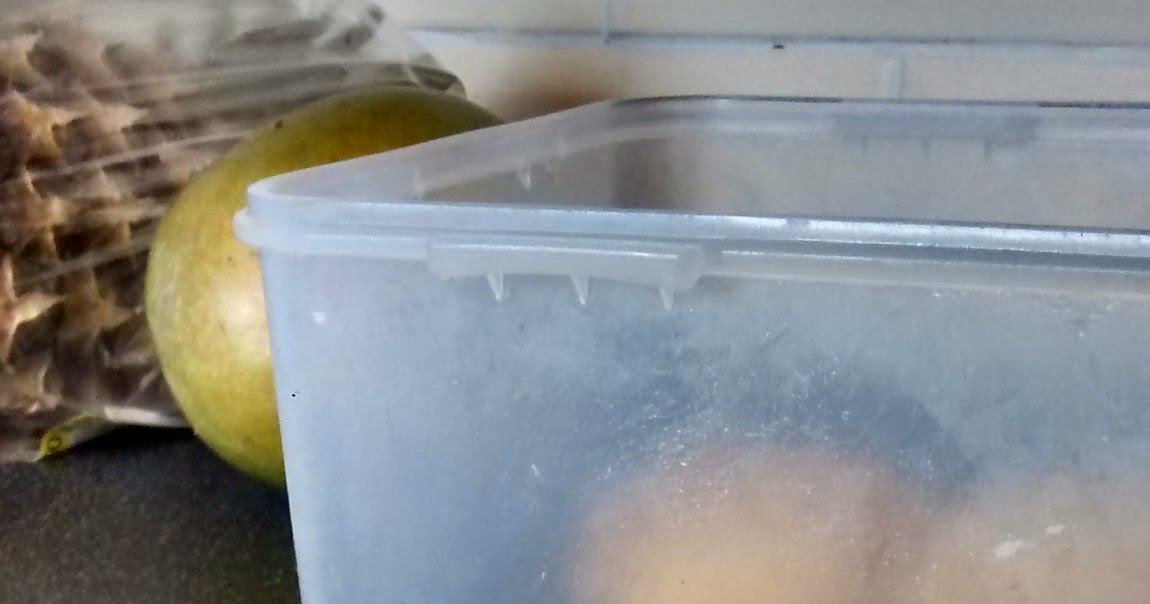 Japonaise Biscuits (Sandwiched Almond Meringues) Crunchies