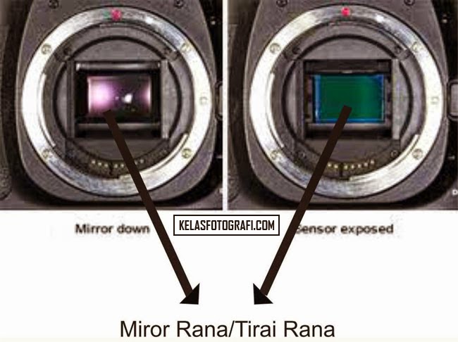 Драйвер На Принтер Canon Mf 4010 Драйвер На Принтер Canon Mf 4010