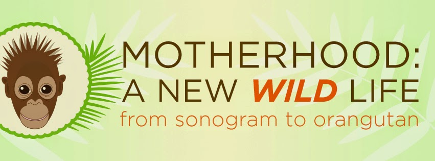motherhood: a new WILD life ... from sonogram to orangutan 