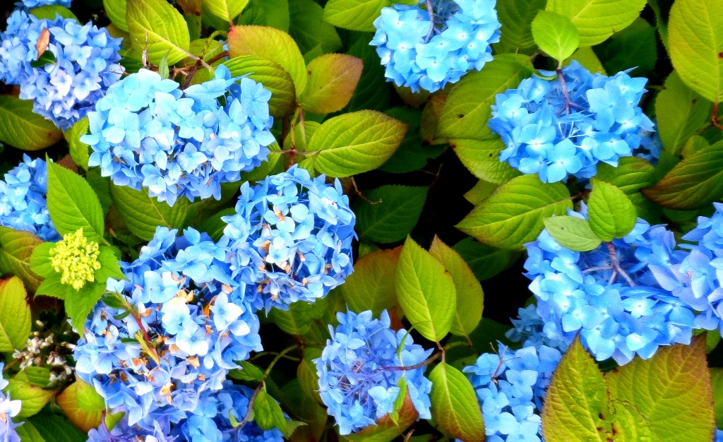 Retirement in The Villages AFTER Fulltime RVing With Rick and Orinda