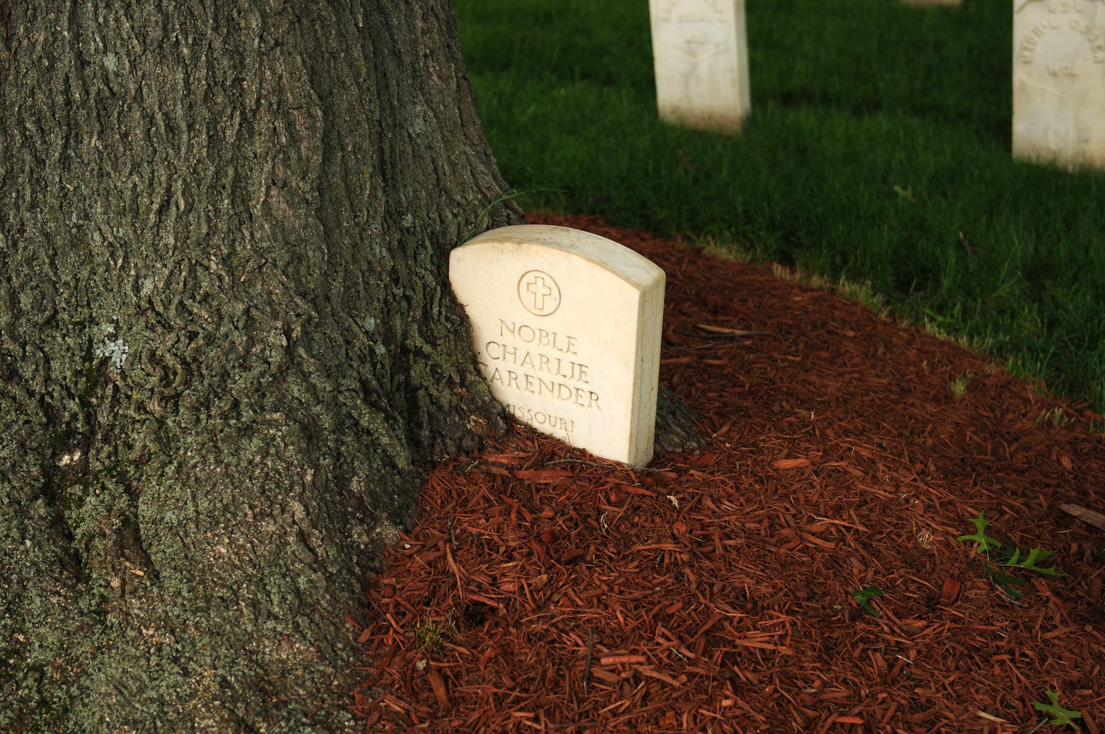 Craves, Caves, & Graves March 2014