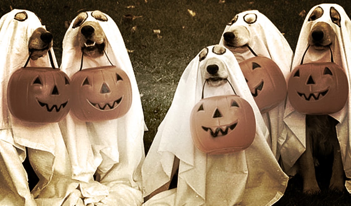 Halloween+Costumes+2013+Ideas+12.jpg