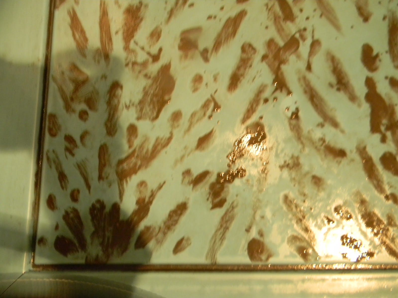 SHINY THINGS Faux Tortoise Shell How To (and more)