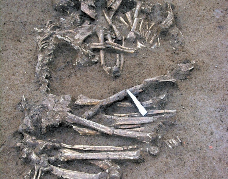 Download Software Ronda De Los Enamorados Pdf Merger