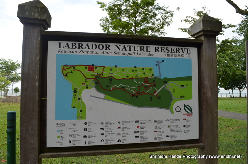 Labrador Nature Reserve