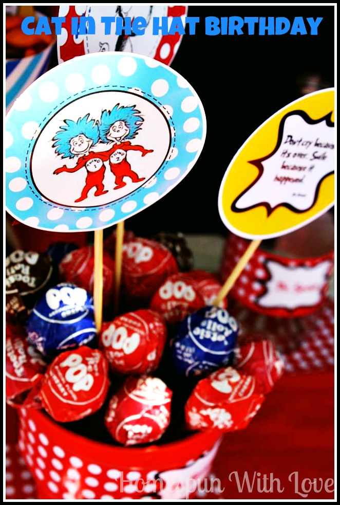 Homespun With Love Cat In The Hat Birthday Party