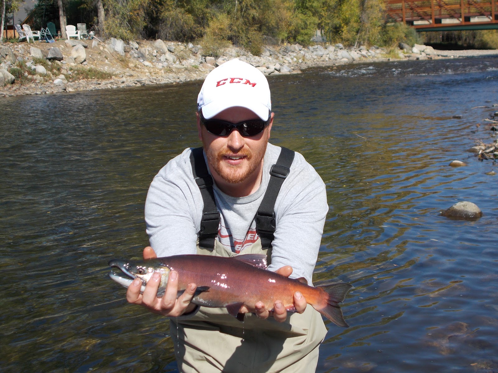 Addictive Angling Colorado Kokanee Salmon on the Move out West