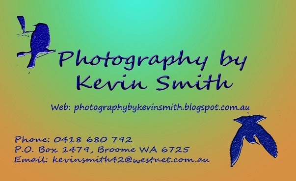 Photography By Kevin Smith