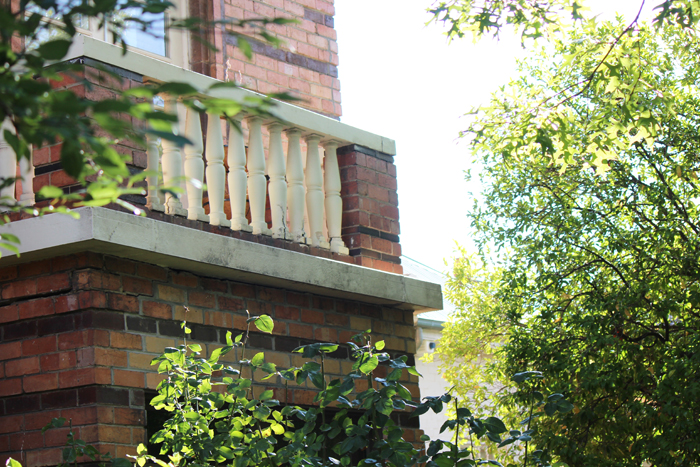 Balcony Fox and Mint