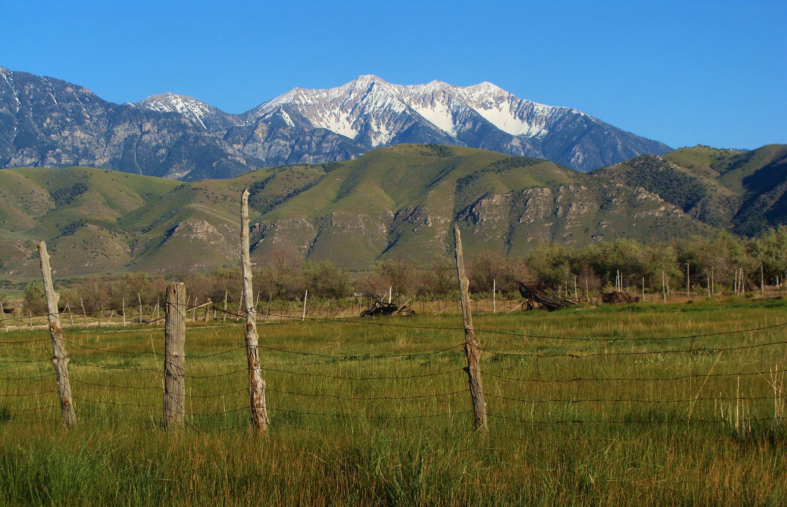 View of Mount Nebo from the northwest. The three cirques at the top are