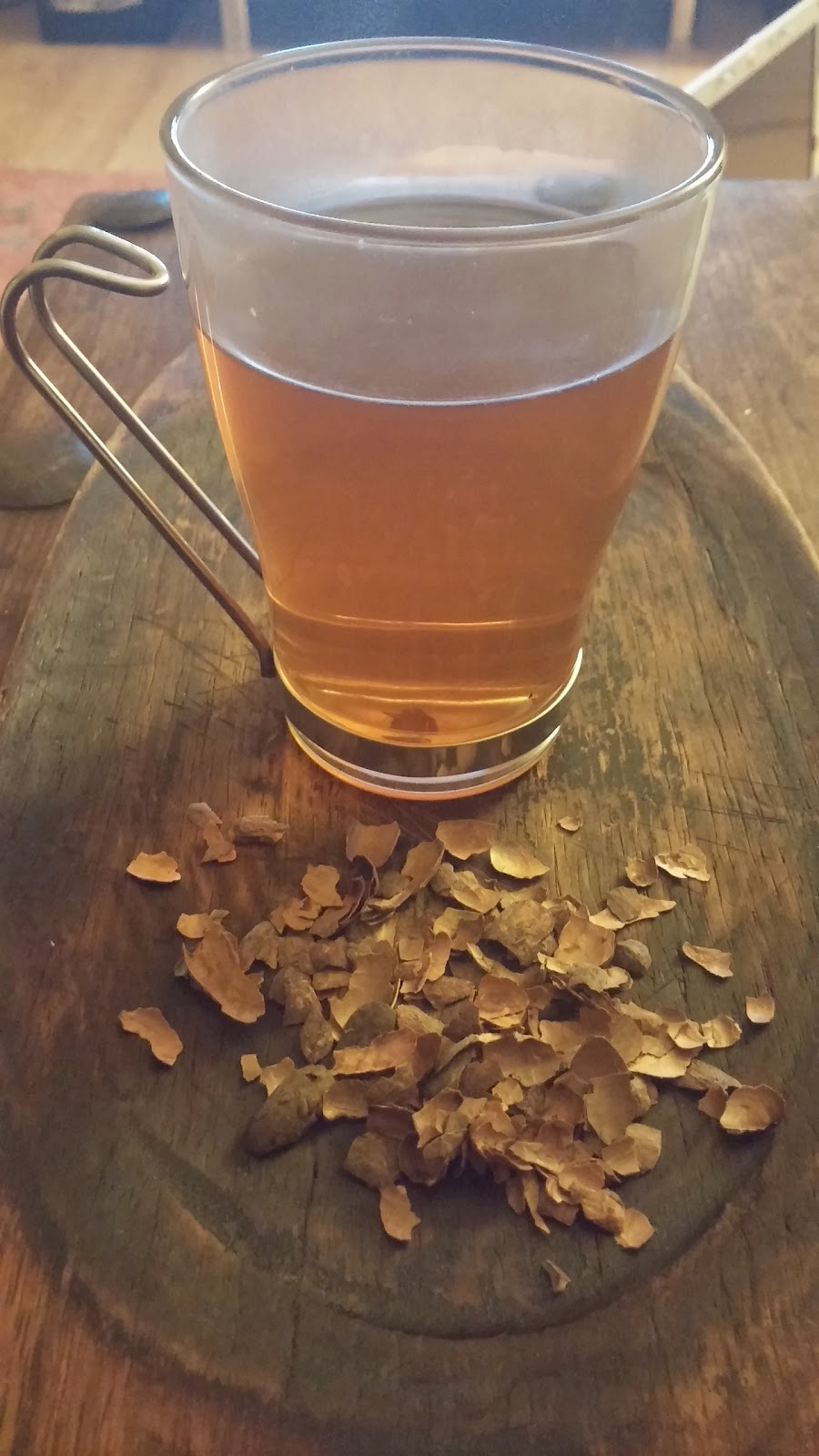 The Benefits of Cacao Tea (Chocolate Tea!) Raw Rhubarb Fit Food and