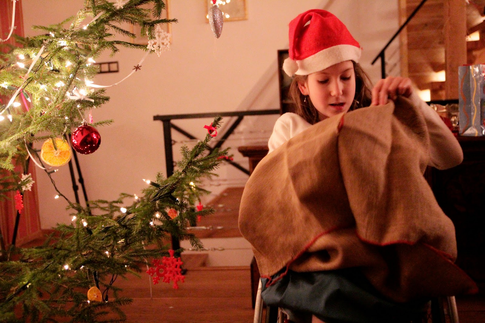 Gwiazdka w Puszczy - Ania w Podróży