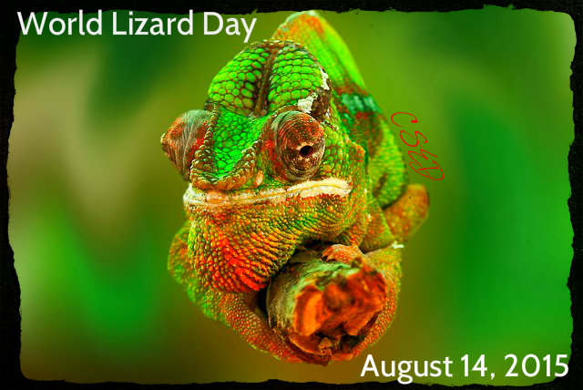 Crazy Days To Celebrate: August 14, 2015