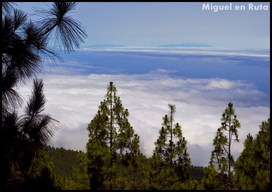 Teide-Tenerife