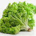 Health Benefits of Lettuce