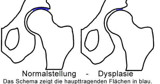 Mädchen aus der klasse flirten image 4