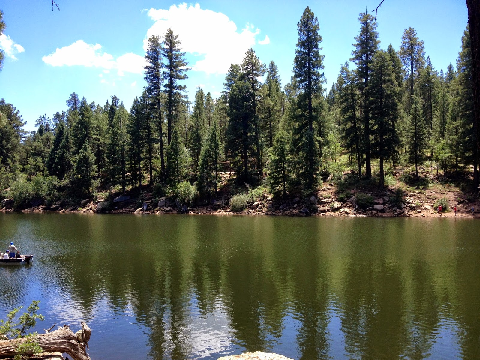 Our Hiking Mystery Woods Canyon Lake Loop