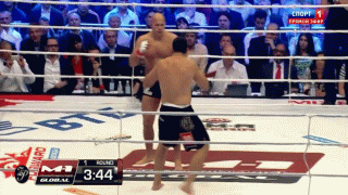 fedor-vs-rizzo-finish-gnp.gif