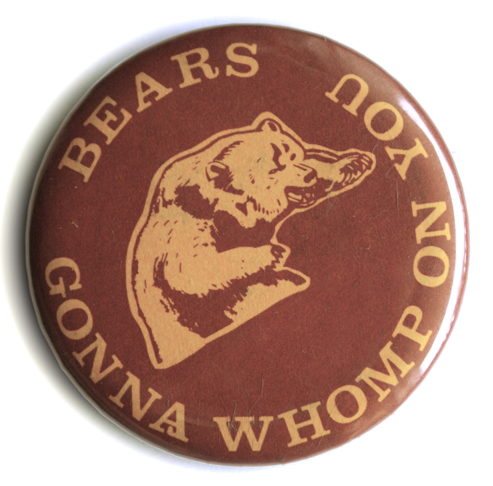 Visions of Minnesota Eveleth High School Button