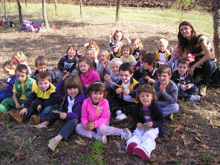 Maddalena e i suoi alunni: esplorando il bosco