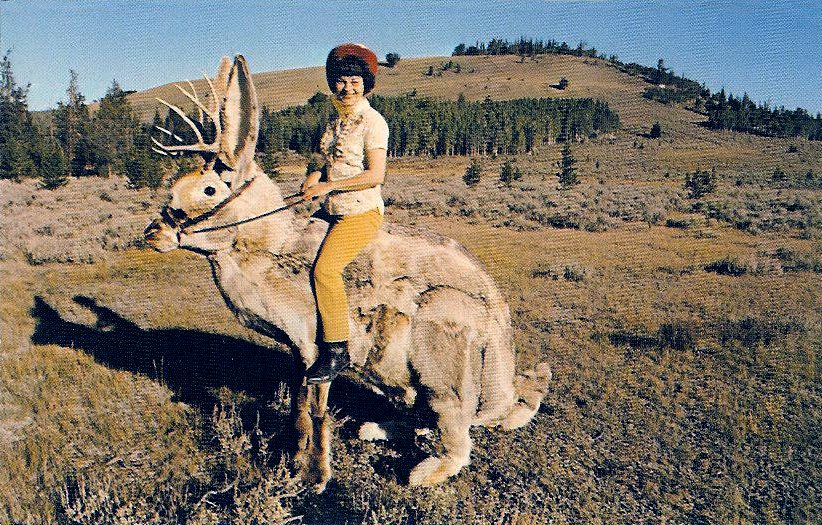 DECK THE HOLIDAY'S THE JACKALOPE FESTIVAL FROM DOUGLAS, WYOMING!