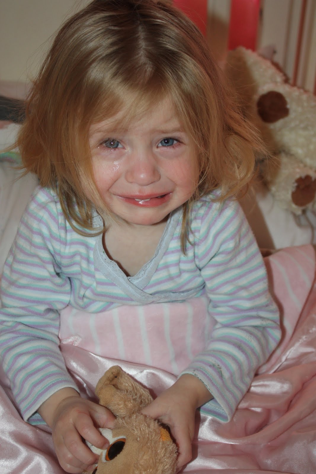 Organized Chaos Pacifier Free