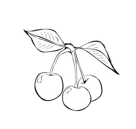 cherry pluras cherries coloring pages ideas