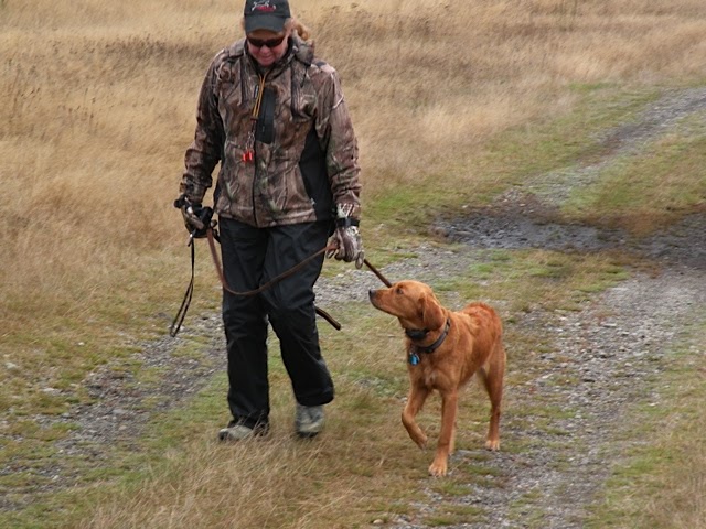 How Do I Train My Dog To Retrieve Birds How Do I Train My Dog To Retrieve Birds