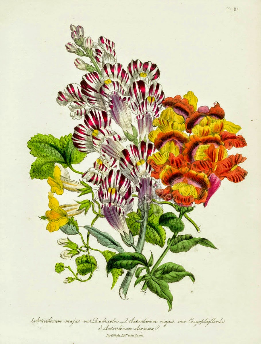 Infotainment @ www.keralites.net Fun & Info @ Keralites.net