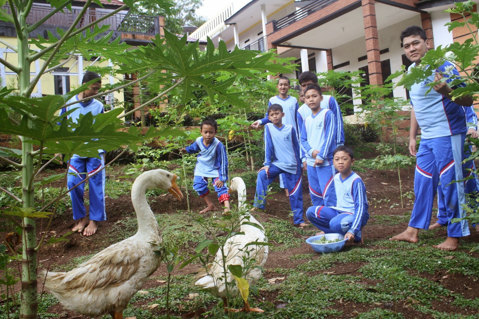 Sekolah Alam Pesantren Entrepreneur SMP IT & SMK IT Sekolah Alam Pesantren Entrepreneur SMP IT & SMK IT