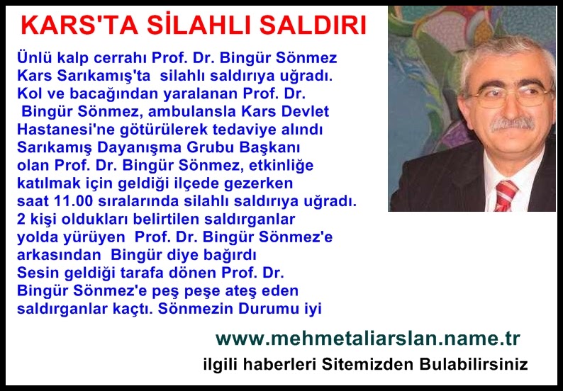 Mehmet Ali Arslan Gazetesi Prof Dr Bingur Sonmez Kars Ta Vuruldu Kars Haberleri 2014