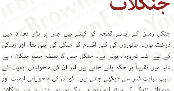 How do forests help us picture