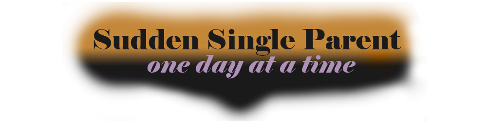 Sudden Single Parent: One Day At A Time