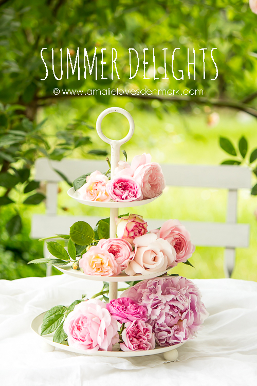 Amalie loves Denmark Rosenfreuden und Blütenfülle Amalie loves Denmark Rosenfreuden und Blütenfülle